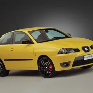 Precut tint film kit for Seat Ibiza 3 Doors from 2003-2007