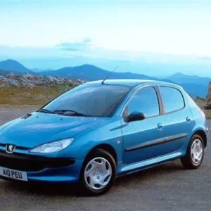Precut tint film kit for Peugeot  206 5 Doors from 1998-2013