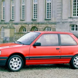 Precut tint film kit for Peugeot  309 3 Doors from 1985-1994
