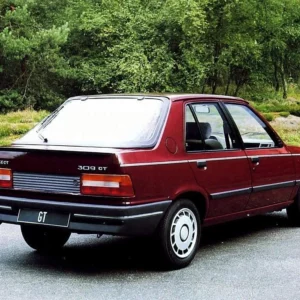 Precut tint film kit for Peugeot  309 5 Doors from 1985-1994