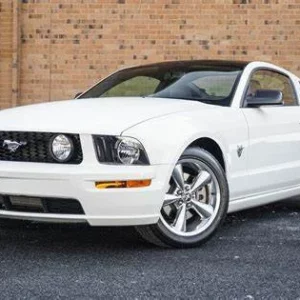Precut tint film kit for Ford Mustang Coupe from 2009-2014