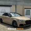 APA Gloss SANDSTORM JP/R98.2