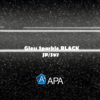 APA Gloss Sparkle BLACK JP/S97