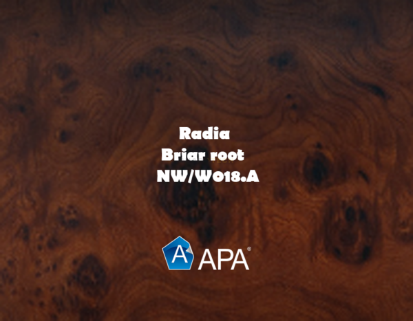 NW/W018.A radia - briar root