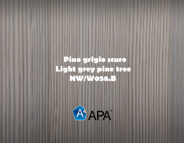 NW/W058.B pino grigio scuro - light grey pine tree